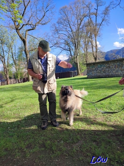 19.4.2025 - Schlossbergwiese